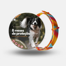 Coleira Universal Antipulgas e Carrapatos para Cães e Gatos Ajustável 8 Meses de Proteção