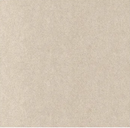 Carpete Arranhador Protetor de Sofás e Móveis Anti Arranhões